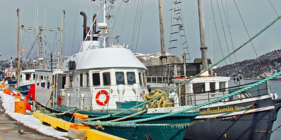 الهجرة الى كندا من الامارات