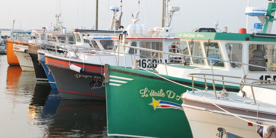 الهجرة الى نيو برونزويك