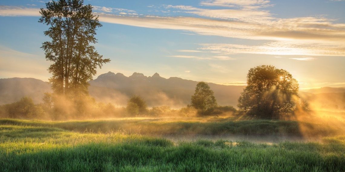 بريتش كولومبيا