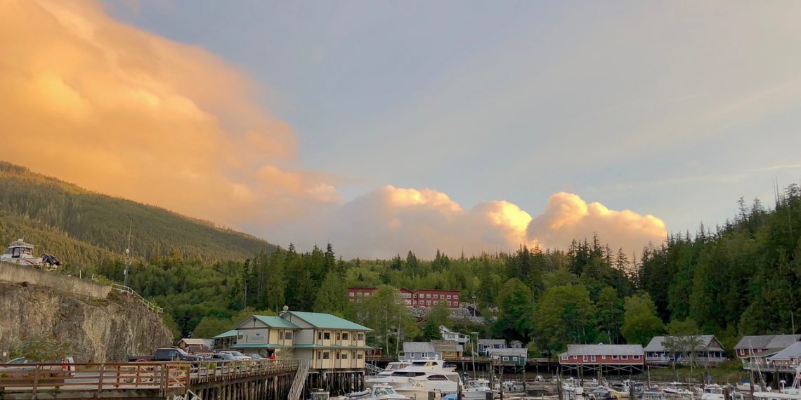 مراسم حفل المواطنة على الإنترنت ..كيف تتم وما هي متطلباتها