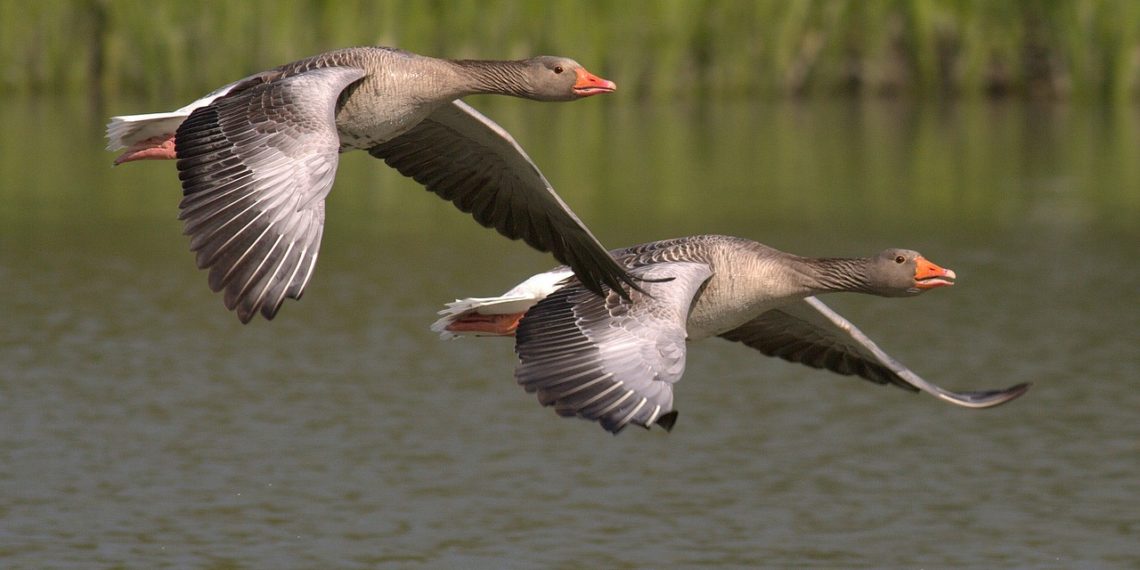 أسهل مقاطعة كندية للهجرة إليها