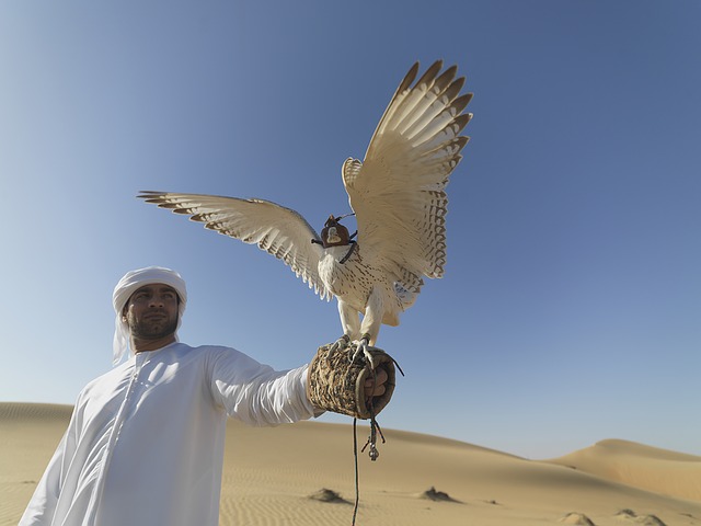 نظام الحكم في الامارات 