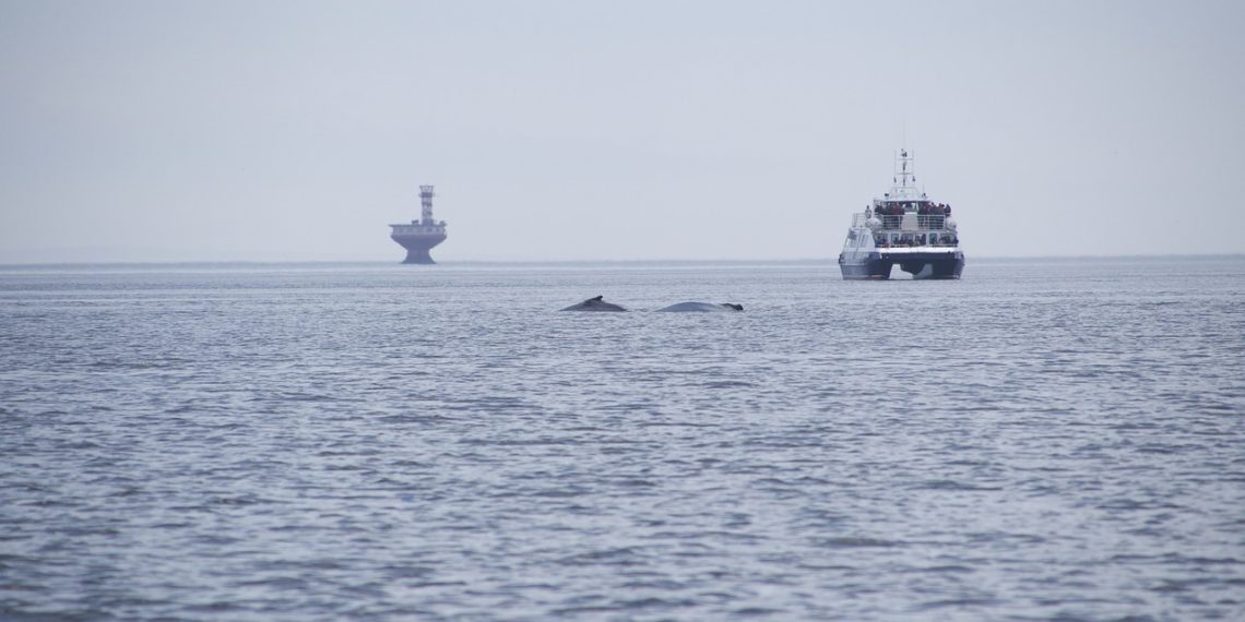 الهجرة الى كندا من قطر