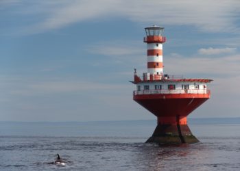 مدة معالجة طلبات الهجرة الى كندا