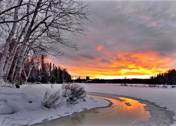 الطقس في هاملتون كندا