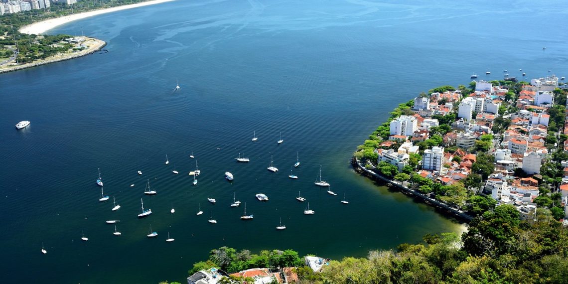 من هو رئيس البرازيل : نشأته وحياته المهنية و السياسية