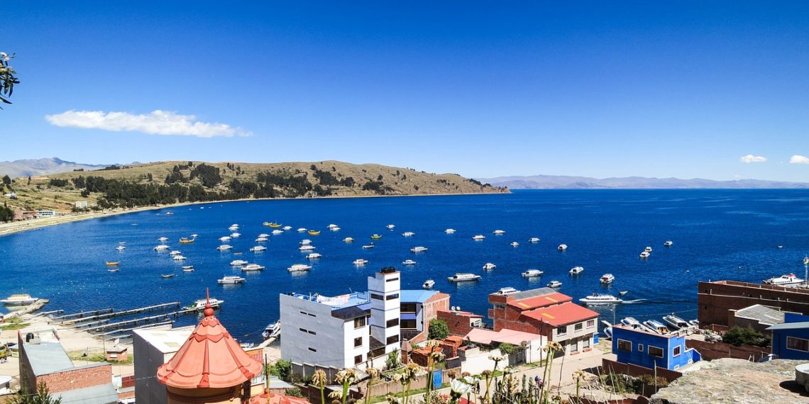 رئيسة بوليفيا جانين آنيز