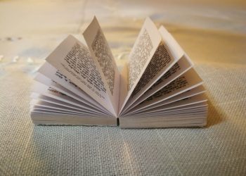 يهود أمريكا