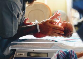 الولادة في فلوريدا