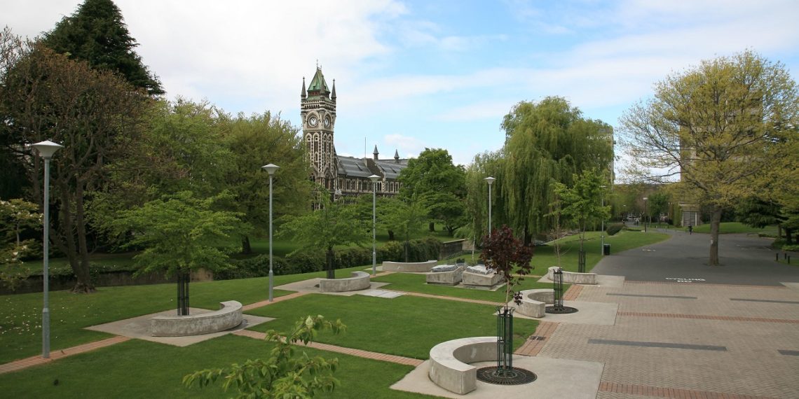 الدراسة في نيوزلندا