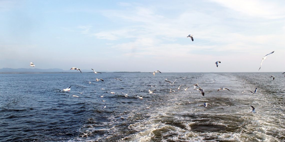 اكبر خليج بالعالم