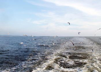 اكبر خليج بالعالم