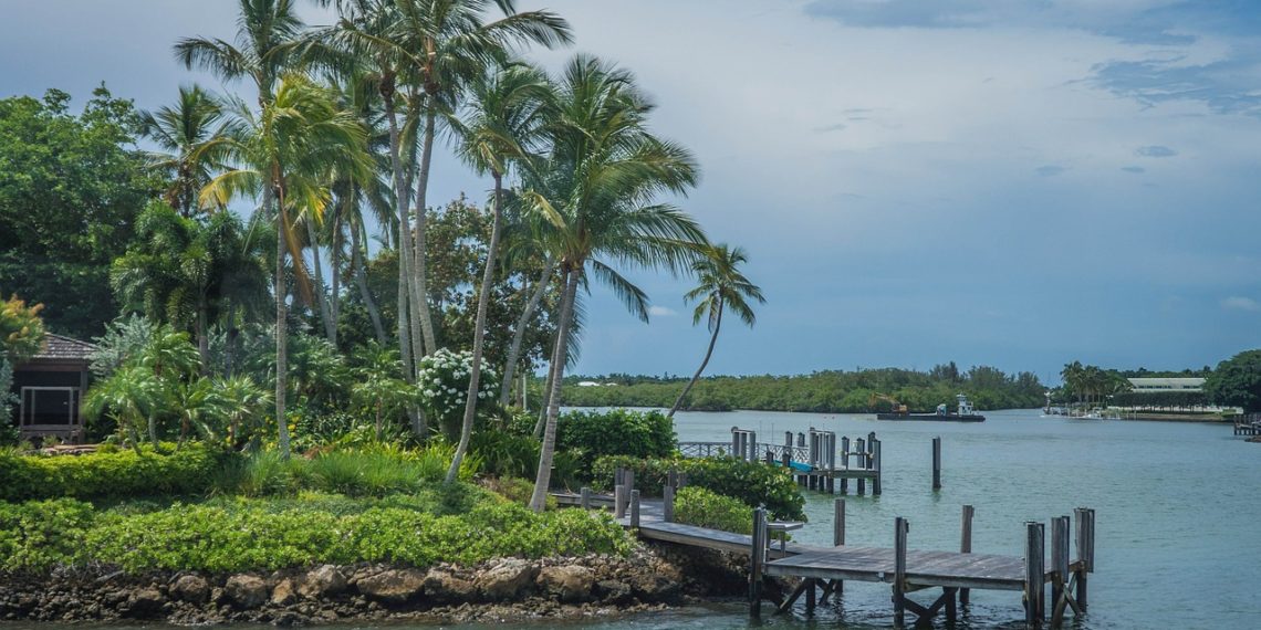 فلوريدا الولاية