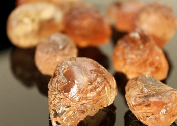 الصمغ العربي