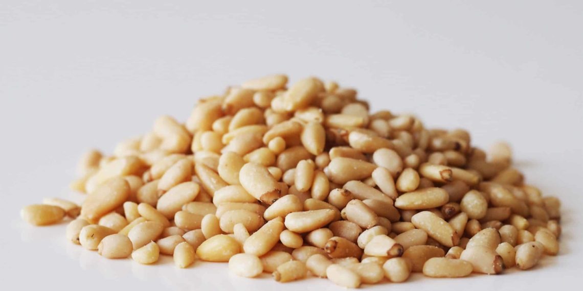 فوائد الصنوبر للرجال 