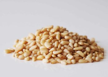 فوائد الصنوبر للرجال 