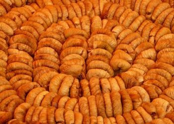 فوائد التين المجفف للرجيم