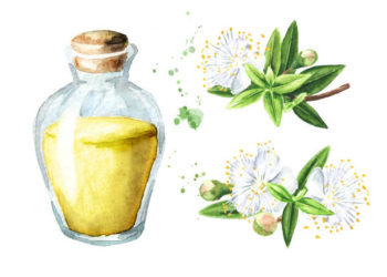 فوائد زيت الآس 