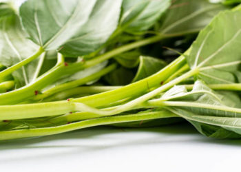 فوائد الملوخية للتخسيس 