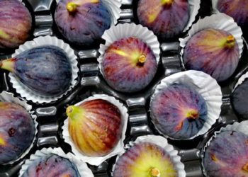 فوائد التين للجسم