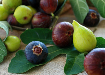 فوائد التين للنساء