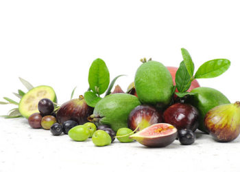 فوائد التين والزيتون