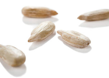 أضرار بذور دوار الشمس