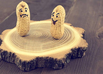 فوائد الفستق للجسم