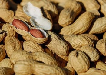 هل الفستق يسبب زيادة في الوزن ؟ 