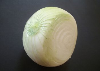 فوائد البصل الأبيض للقولون