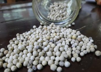 فوائد الفلفل الأبيض للحمل 