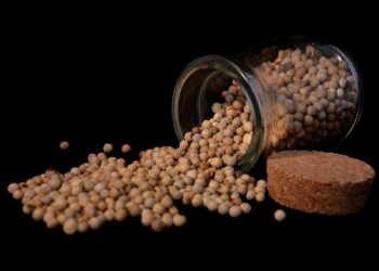 فوائد الفلفل الأبيض