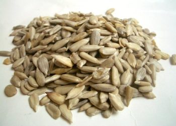 فوائد بذور عباد الشمس للحامل