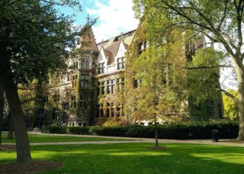 الدراسة في شيكاغو