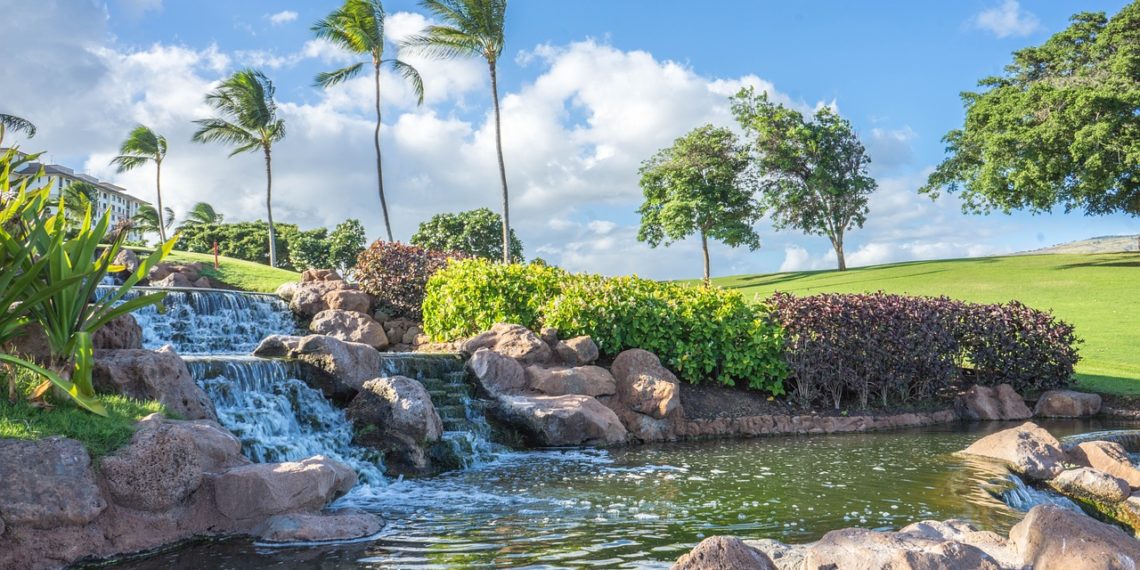 جزيرة هاواي