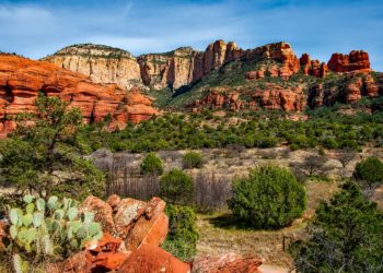 ولاية أريزونا