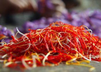 فوائد العصفر للنوم