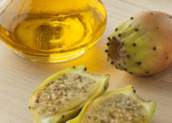 زيت التين الشوكي