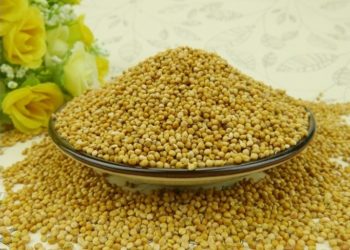 أضرار الدخن