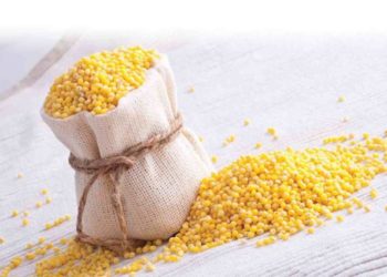 فوائد الدخن للرحم