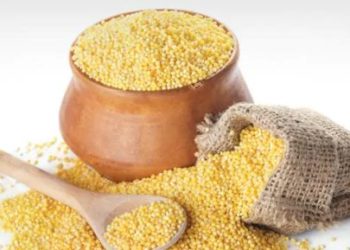 فوائد الدخن