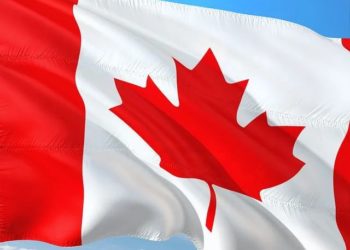 متطلبات العمل في مهنتك في كندا