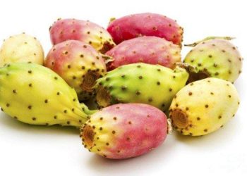 فوائد التين الشوكي للبشرة