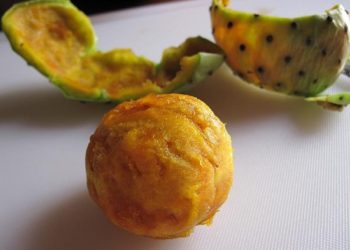 اضرار التين الشوكي