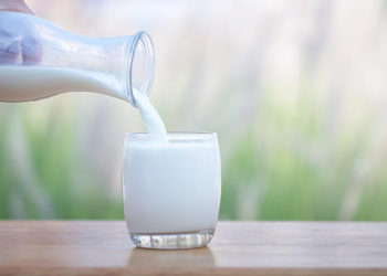 أضرار حليب الإبل