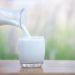 أضرار حليب الإبل