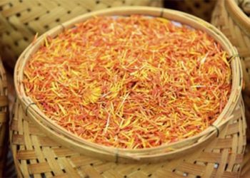 فوائد العصفر للجسم