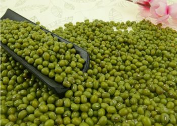 فوائد الماش للرحم