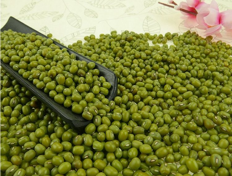 فوائد الماش للرحم