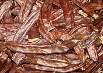 فوائد الخروب للضغط